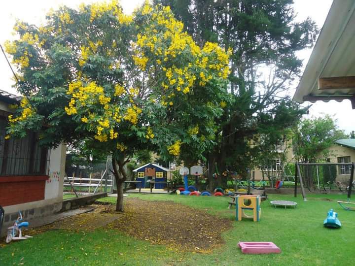 Escaleritas Taller Infantil Patio Exterior